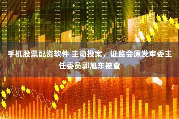 手机股票配资软件 主动投案，证监会原发审委主任委员郭旭东被查
