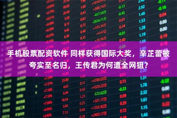 手机股票配资软件 同样获得国际大奖，辛芷蕾被夸实至名归，王传君为何遭全网狙？