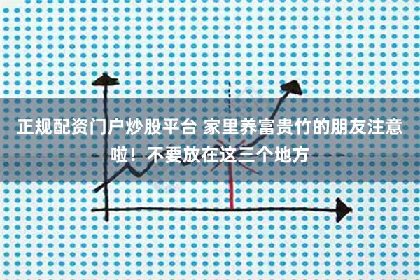 正规配资门户炒股平台 家里养富贵竹的朋友注意啦！不要放在这三个地方